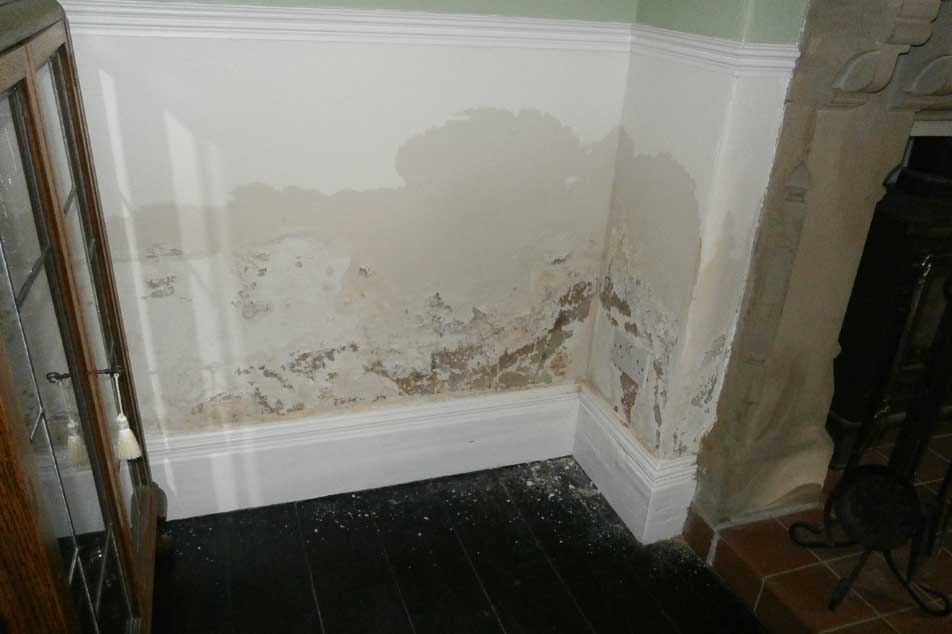 Rising damp on internal wall cornor - Property Care Association